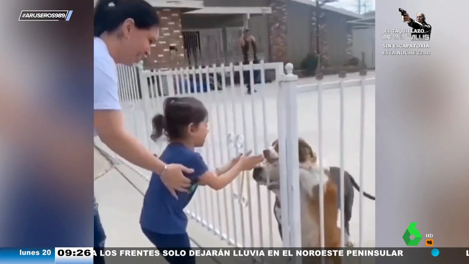 La emocionante reacción de una niña cuando vuelve a encontrarse con su perro que se perdió en Navidad