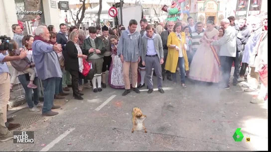 Vídeo manipulado - La euforia de José Luis Martínez-Almeida al ver a una ardilla bailando en plena calle Vídeo manipulado - La euforia de José Luis Martínez-Almeida al ver a una ardilla bailando en plena calle