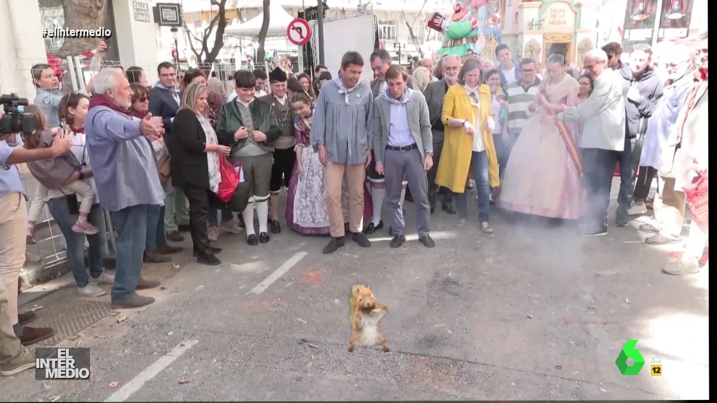 Vídeo manipulado - La euforia de José Luis Martínez-Almeida al ver a una ardilla bailando en plena calle Vídeo manipulado - La euforia de José Luis Martínez-Almeida al ver a una ardilla bailando en plena calle