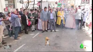 Vídeo manipulado - La euforia de José Luis Martínez-Almeida al ver a una ardilla bailando en plena calle