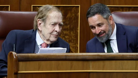 El profesor Ramón Tamames (i) conversa con el líder de Vox, Santiago Abascal, durante el debate de la moción de censura. El profesor Ramón Tamames (i) conversa con el líder de Vox, Santiago Abascal, durante el debate de la moción de censura.
