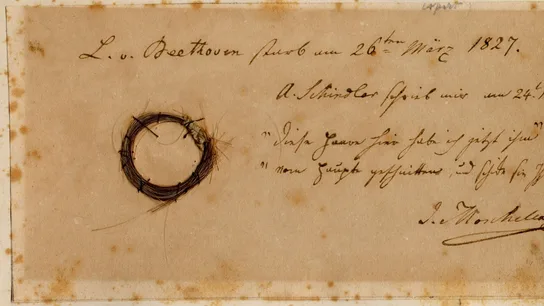 Fotografía del mechón de cabello de Beethoven Fotografía del mechón de cabello de Beethoven