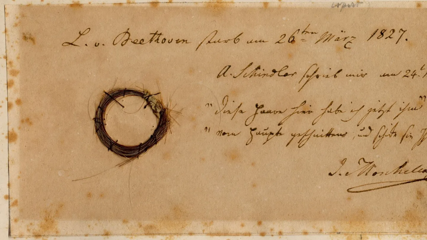 Fotografía del mechón de cabello de Beethoven Fotografía del mechón de cabello de Beethoven