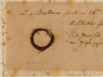 DNA from Beethoven’s hair suggests he suffered a hepatitis B infection before his death
