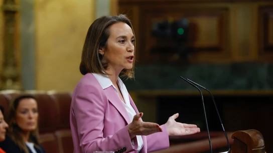 La portavoz del Partido Popular en el Congreso, Cuca Gamarra La portavoz del Partido Popular en el Congreso, Cuca Gamarra