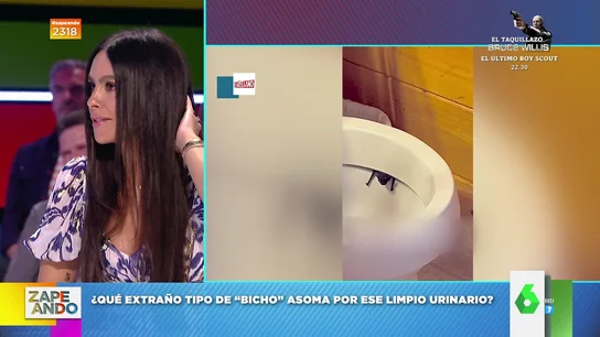 Cristina Pedroche cuenta cómo un murciélago se quedó aturdido cuando se chocó con su cabeza Cristina Pedroche cuenta cómo un murciélago se quedó aturdido cuando se chocó con su cabeza