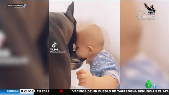 La divertida reacción de un bebé cuando su perro no le deja espacio para beber del bebedero La divertida reacción de un bebé cuando su perro no le deja espacio para beber del bebedero