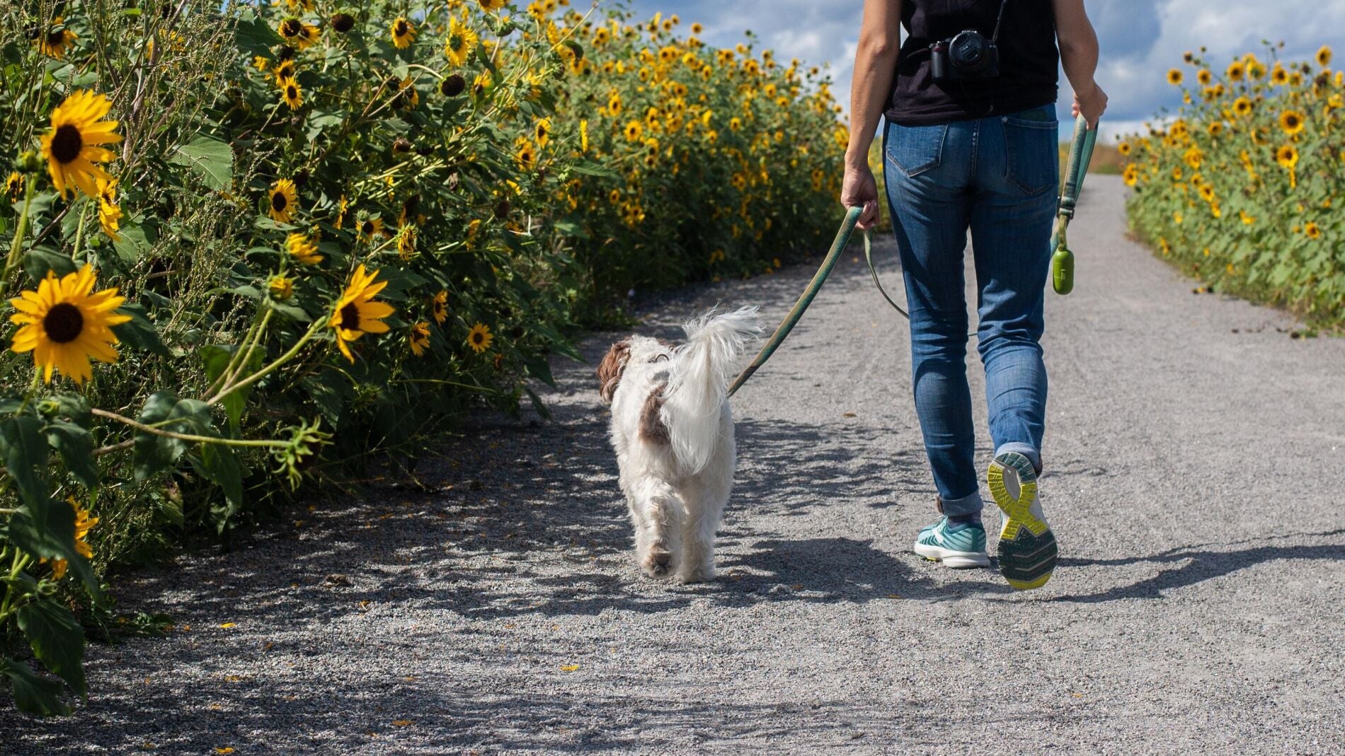 Para caminar outlet