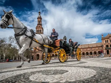 Sevilla tiene un color muy especial en abril de 2023 Sevilla tiene un color muy especial en abril de 2023
