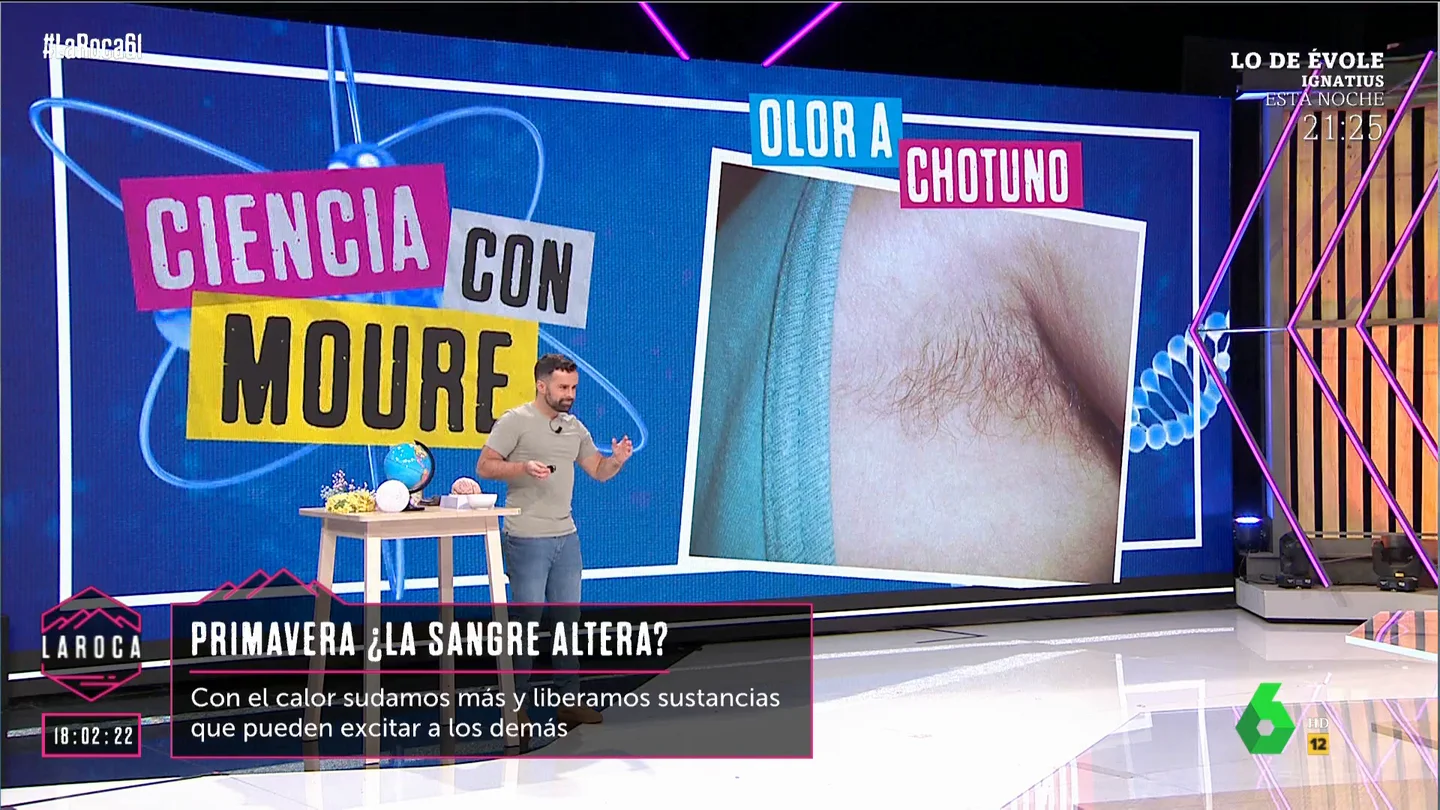 Ricardo Moure desvela cuál es la misión del vello corporal y por qué está dónde está "¿Nunca os habéis preguntado por qué somos como un mono calvo, pero de repente tenemos unos moñoños de pelo en los sobacos y el pubis?", comenta Ricardo Moure, que en este vídeo de 'La Roca' explica por qué tenemos vello en algunas zonas.
