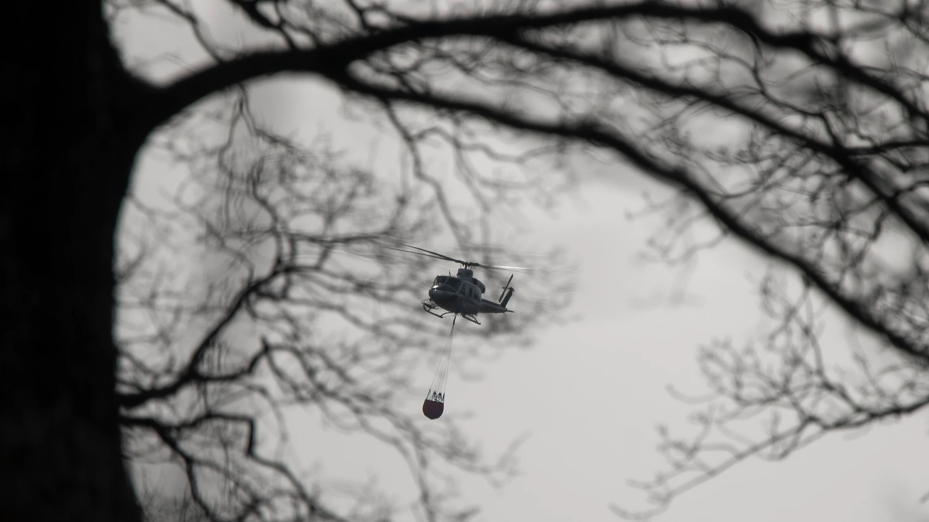 Un helicóptero transporta agua durante los trabajos de extinción de un incendio forestal en la localidad cántabra de Los Corrales de Buelna.