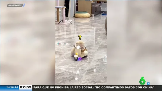 El adorable vídeo viral de un gatito bebé que conduce una moto de juguete El adorable vídeo viral de un gatito bebé que conduce una moto de juguete