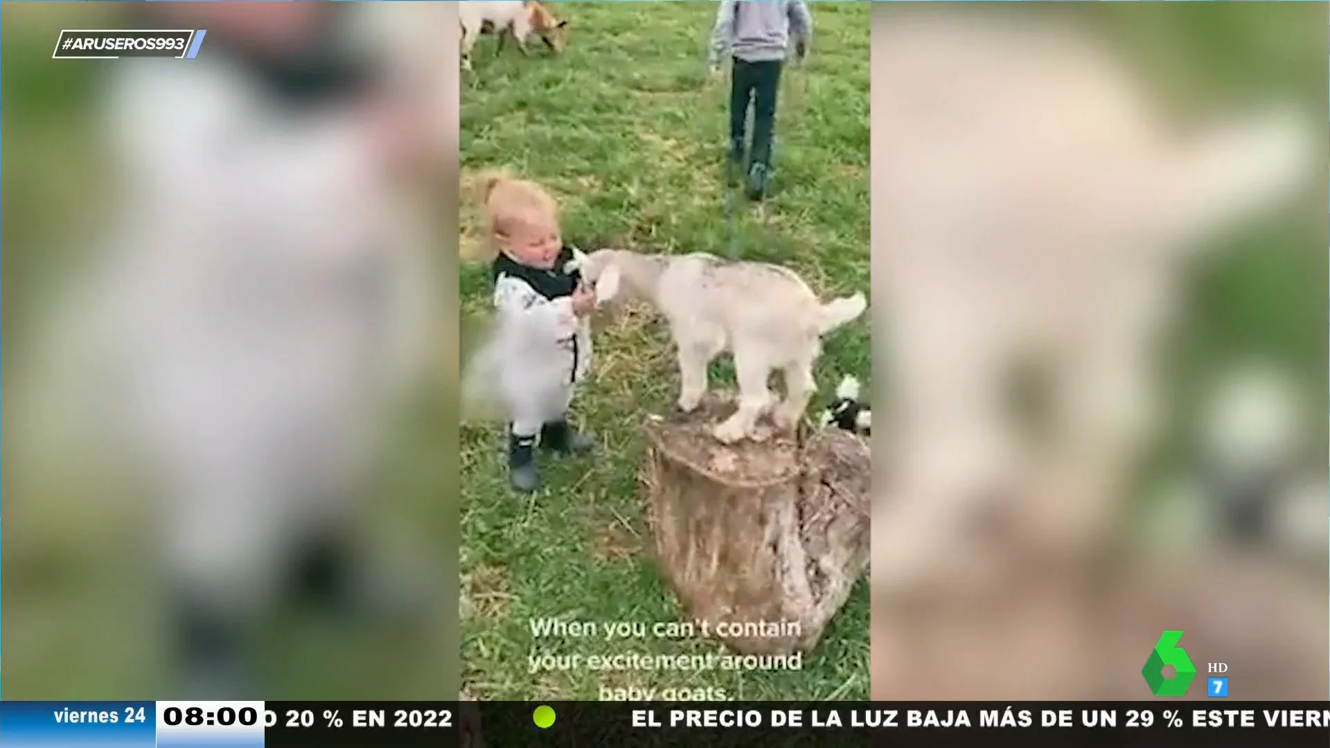 La ilusión de una niña pequeña al encontrarse con unas cabritas: "Es como Heidi con Copito de Nieve"