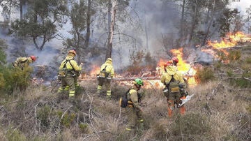 Bomberos trabajan en el incendio forestal