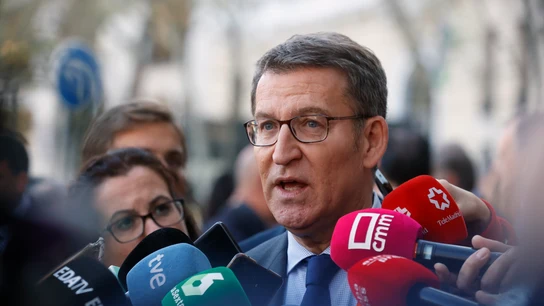 El líder del PP, Alberto Núñez Feijóo, atiende a los medios El líder del PP, Alberto Núñez Feijóo, atiende a los medios