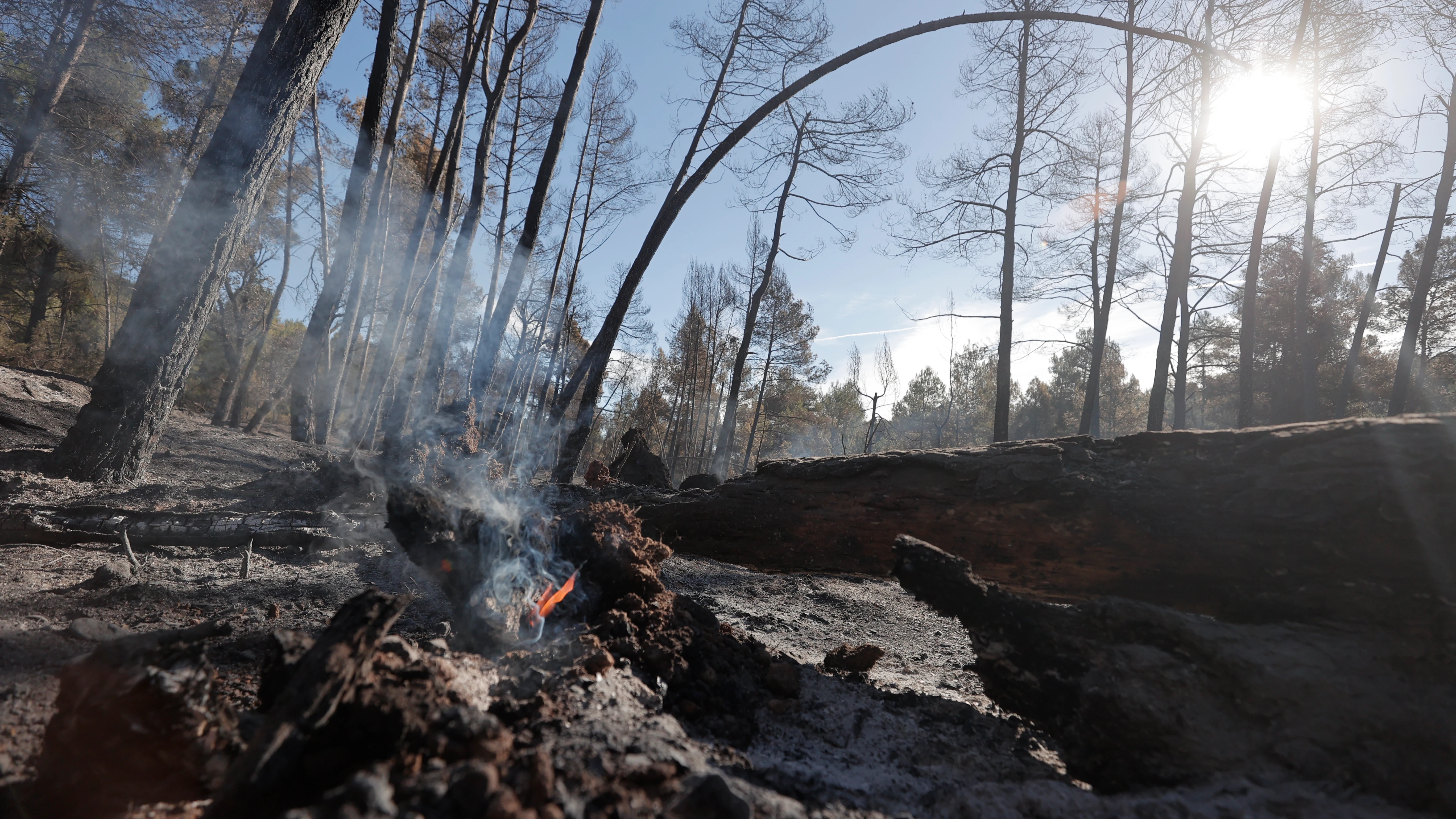 Restos de una de las zonas afectadas por los incendios vividos en Castellón