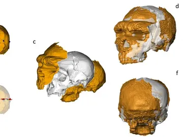 Investigador en la cueva de Lamalunga Investigador en la cueva de Lamalunga