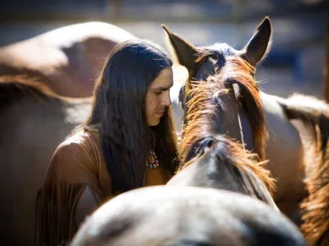 Un hombre acaricia a un caballo Un hombre acaricia a un caballo
