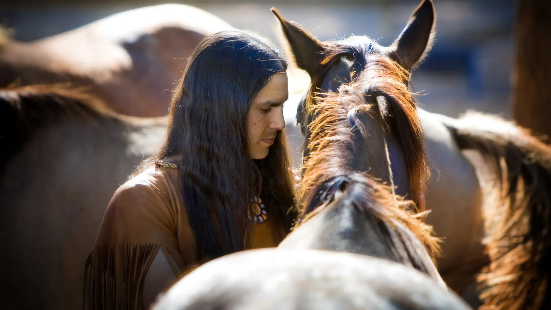 Un hombre acaricia a un caballo Un hombre acaricia a un caballo