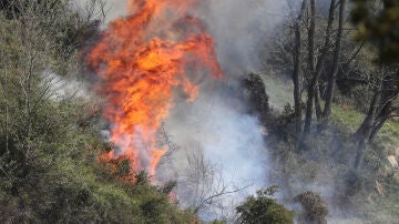 Incendio en Monte Naranco de Asturias