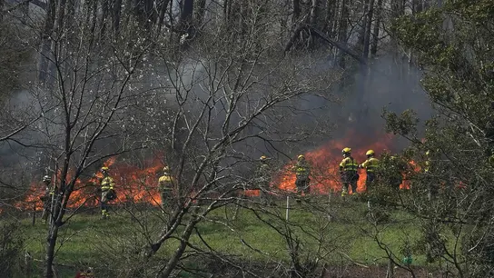 Asturias arde en una oleada de incendios "provocados sin precedentes": "Es un auténtico terrorismo" Asturias arde en una oleada de incendios "provocados sin precedentes": "Es un auténtico terrorismo"
