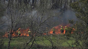 Asturias arde en una oleada de incendios "provocados sin precedentes": "Es un auténtico terrorismo"