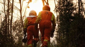Bomberos de Asturias trabajan en el incendio de los concejos de Valdes y Tineo