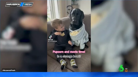 Los divertidos vídeos virales que muestran lo que pasa cuando los bebés y los perros crecen juntos Los divertidos vídeos virales que muestran lo que pasa cuando los bebés y los perros crecen juntos