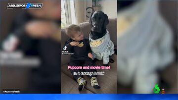 Los divertidos vídeos virales que muestran lo que pasa cuando los bebés y los perros crecen juntos