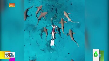 las 'relajantes' imágenes de una mujer nadando rodeada de tiburones en las Maldivas