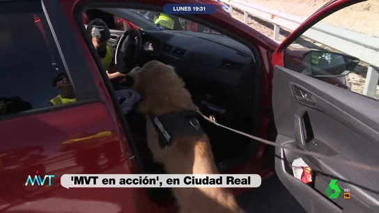Así trabaja un perro policía en los controles de la Guardia Civil: MVT graba cómo encuentra 15 kilos Así trabaja un perro policía en los controles de la Guardia Civil: MVT graba cómo encuentra 15 kilos