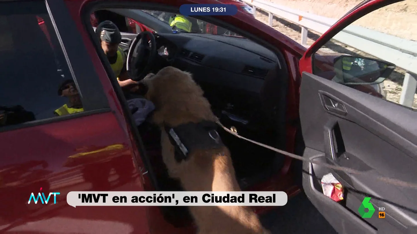 Así trabaja un perro policía en los controles de la Guardia Civil: MVT graba cómo encuentra 15 kilos Así trabaja un perro policía en los controles de la Guardia Civil: MVT graba cómo encuentra 15 kilos