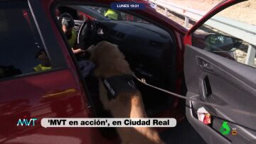 Así trabaja un perro policía en los controles de la Guardia Civil: MVT graba cómo encuentra 15 kilos