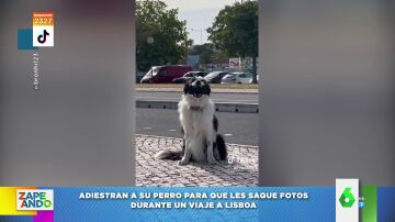 Un perro es adiestrado para inmortalizar el viaje de sus dueños a Lisboa: "Encuadra mejor que mi madre"