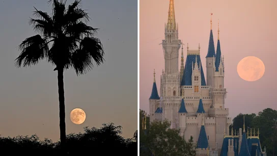 A la izquierda, luna llena en California; a la derecha, luna llena en Disney World, Florida A la izquierda, luna llena en California; a la derecha, luna llena en Disney World, Florida
