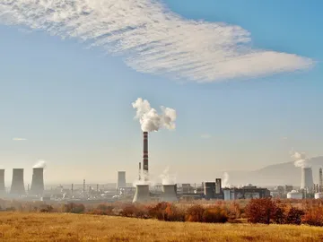 Contaminación del suelo Contaminación del suelo