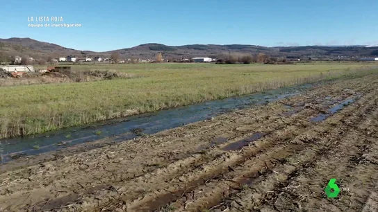 "La ingesta continuada de pesticidas durante años causa problemas de salud": un experto alerta "La ingesta continuada de pesticidas durante años causa problemas de salud": un experto alerta