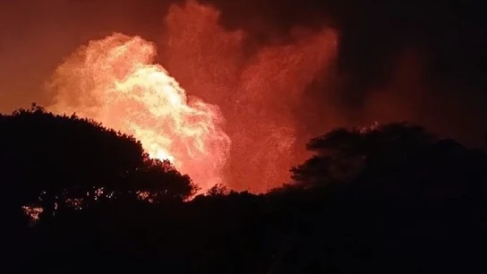 Desalojadas 70 personas por un incendio forestal agravado por el viento en Tarifa (Cádiz) Desalojadas 70 personas por un incendio forestal agravado por el viento en Tarifa (Cádiz)