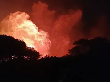 Desalojadas 70 personas por un incendio forestal agravado por el viento en Tarifa (Cádiz)