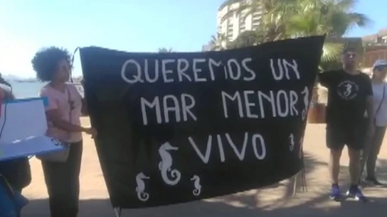 Vecinos y ecologistas vuelven a la calle a reclamar "derechos y justicia" para el Mar Menor Vecinos y ecologistas vuelven a la calle a reclamar "derechos y justicia" para el Mar Menor