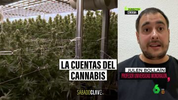 Julen Bollaín, sobre la legalización del cannabis en España: En el Congreso habría 206 diputados que estarían a favor