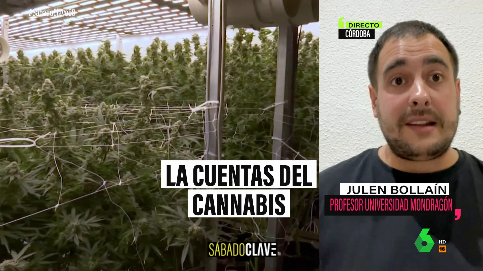 "El consumo de cannabis ha sido, es y será una realidad y cerrar los ojos no va a hacer que cambie", comenta Bollaín, que en este vídeo analiza qué supondría para España una legalización como la de Canadá para la que, considera, falta "voluntad política".