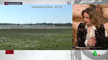 La advertencia de Elizabeth Duval sobre Doñana: "La emergencia climática no es un conflicto partidista"