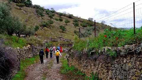 Ruta del Rey Jayón Ruta del Rey Jayón