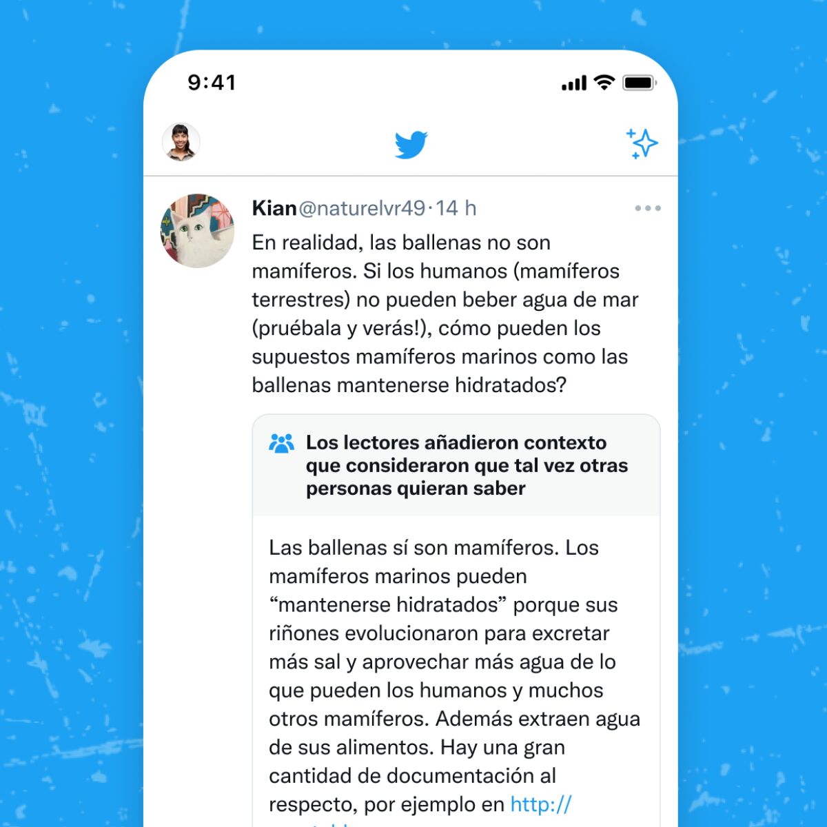 Nueva funcionalidad en Twitter: las Notas de la comunidad permitirán aclarar tuits confusos o engañosos