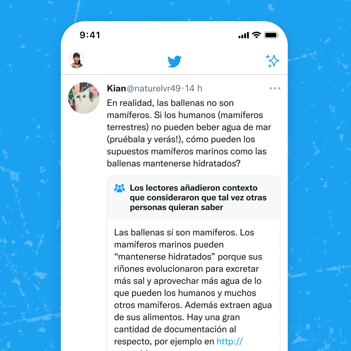 Nueva funcionalidad en Twitter: las Notas de la comunidad permitirán aclarar tuits confusos o engañosos