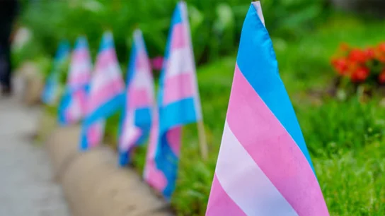 Banderas trans Banderas trans