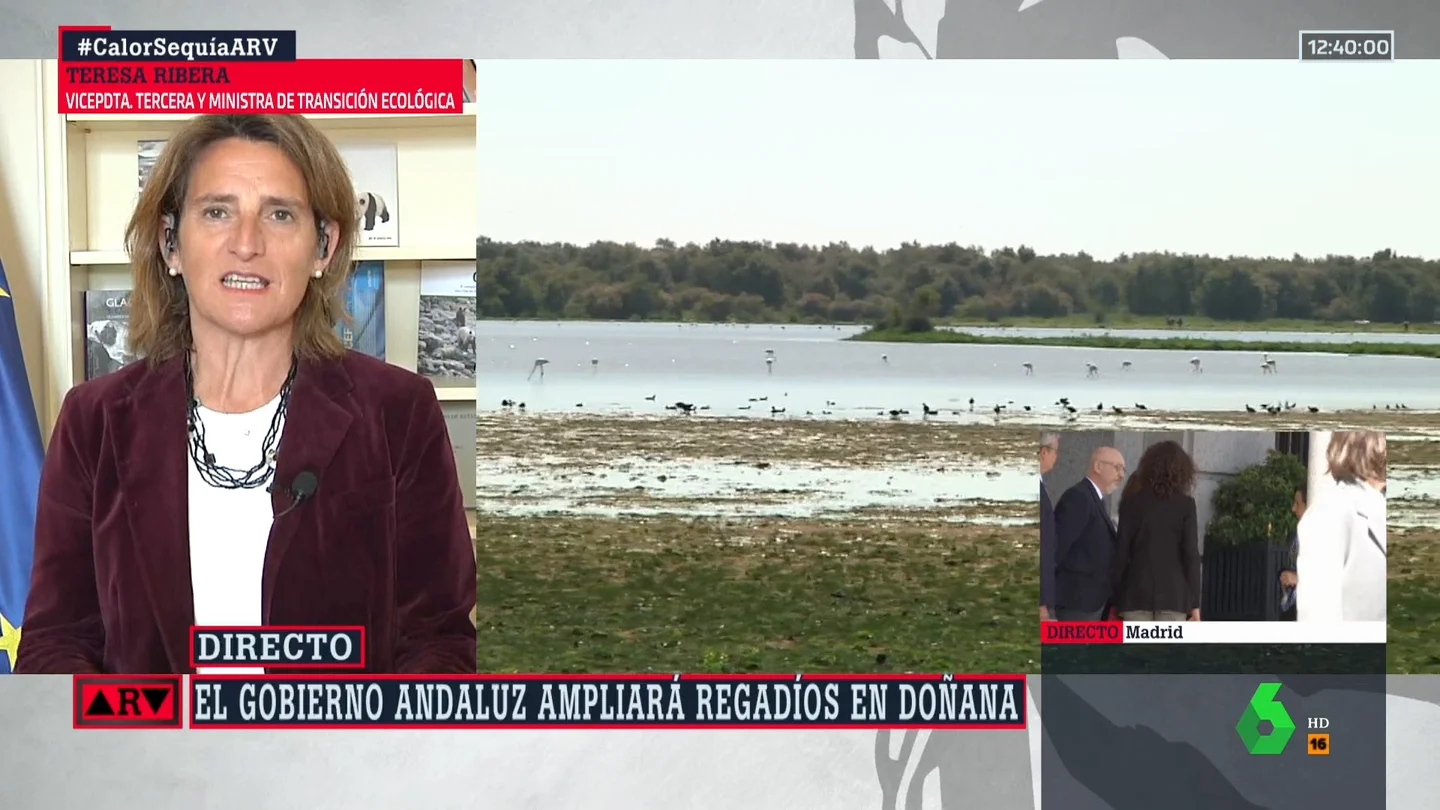 TERESA RIBERA 1 TERESA RIBERA 1