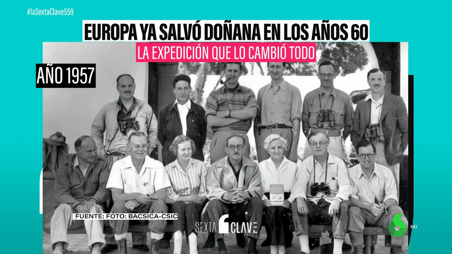 Cuando Europa salvó Doñana: así se convenció a Franco de no convertir los humedales en un bosque de eucaliptos Cuando Europa salvó Doñana: así se convenció a Franco de no convertir los humedales en un bosque de eucaliptos
