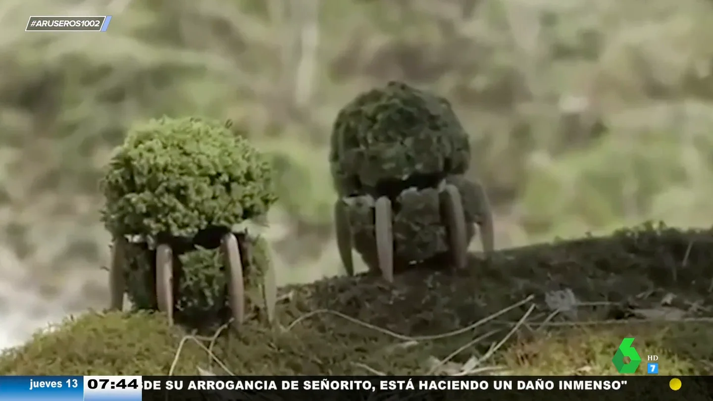 La maceta inteligente que se mueve sola: el invento que necesitas si eres de los que se le mueren todas las plantas La maceta inteligente que se mueve sola: el invento que necesitas si eres de los que se le mueren todas las plantas